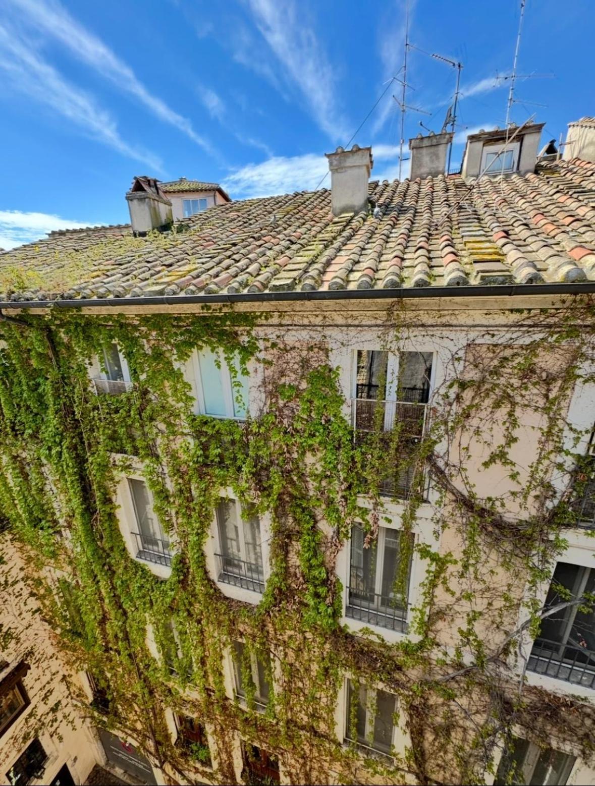 Navona Fox House 2 — Foto 1