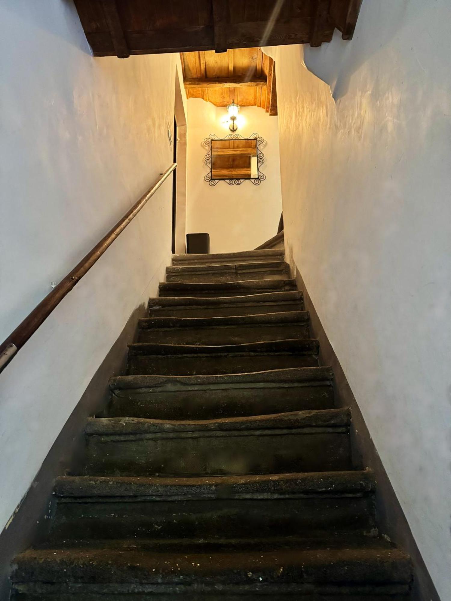 Navona Fox House 2 — Foto 2